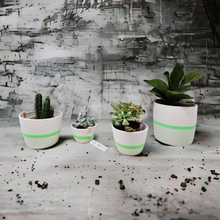 Load image into Gallery viewer, Planter Fluo Green