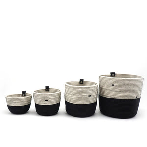 Planter Black & White