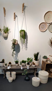 Hanging planters Gras Green