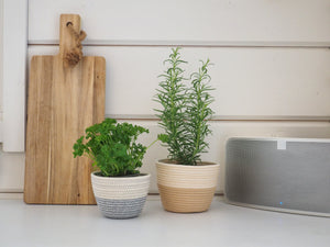 Planter Pastel Grey & White