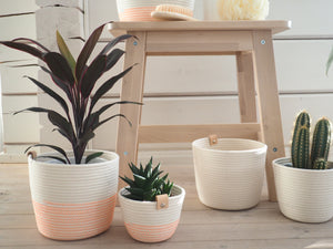 Planter Fluo Orange