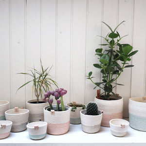Jardinière style bohème